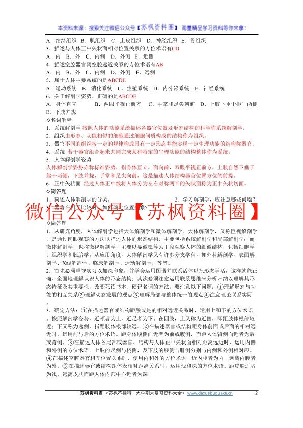 人体解剖学